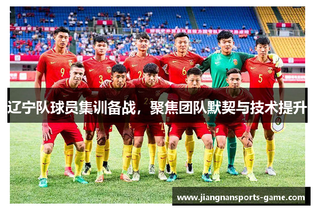 辽宁队球员集训备战，聚焦团队默契与技术提升