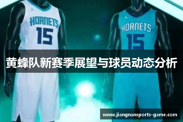 黄蜂队新赛季展望与球员动态分析